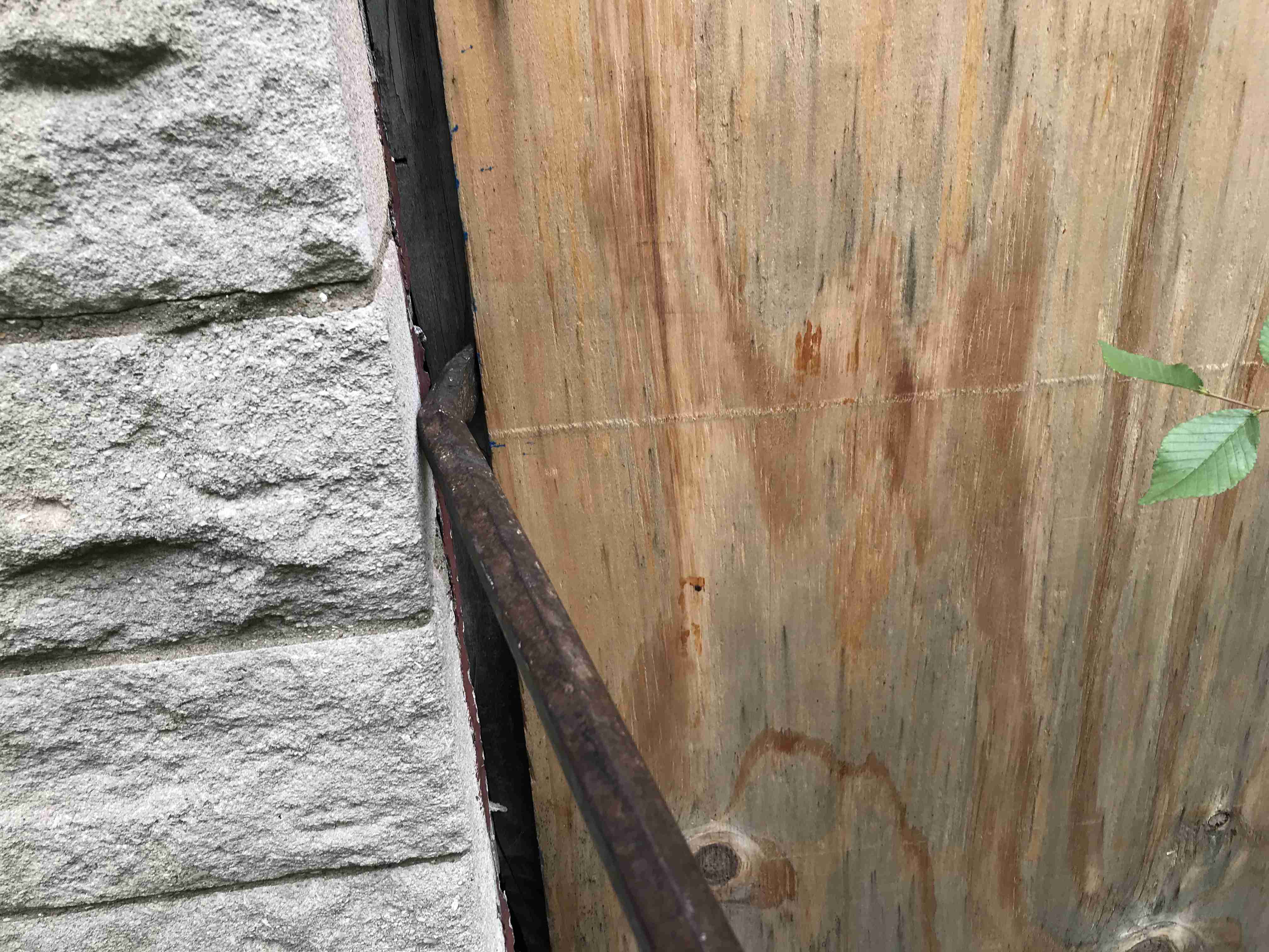 Photo Sep 10, 2 08 09 PM.jpg